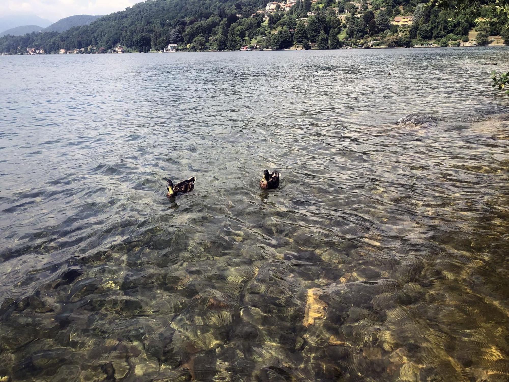 Appartamento Vacanze Al Lago Орта-Сан-Джулио Экстерьер фото